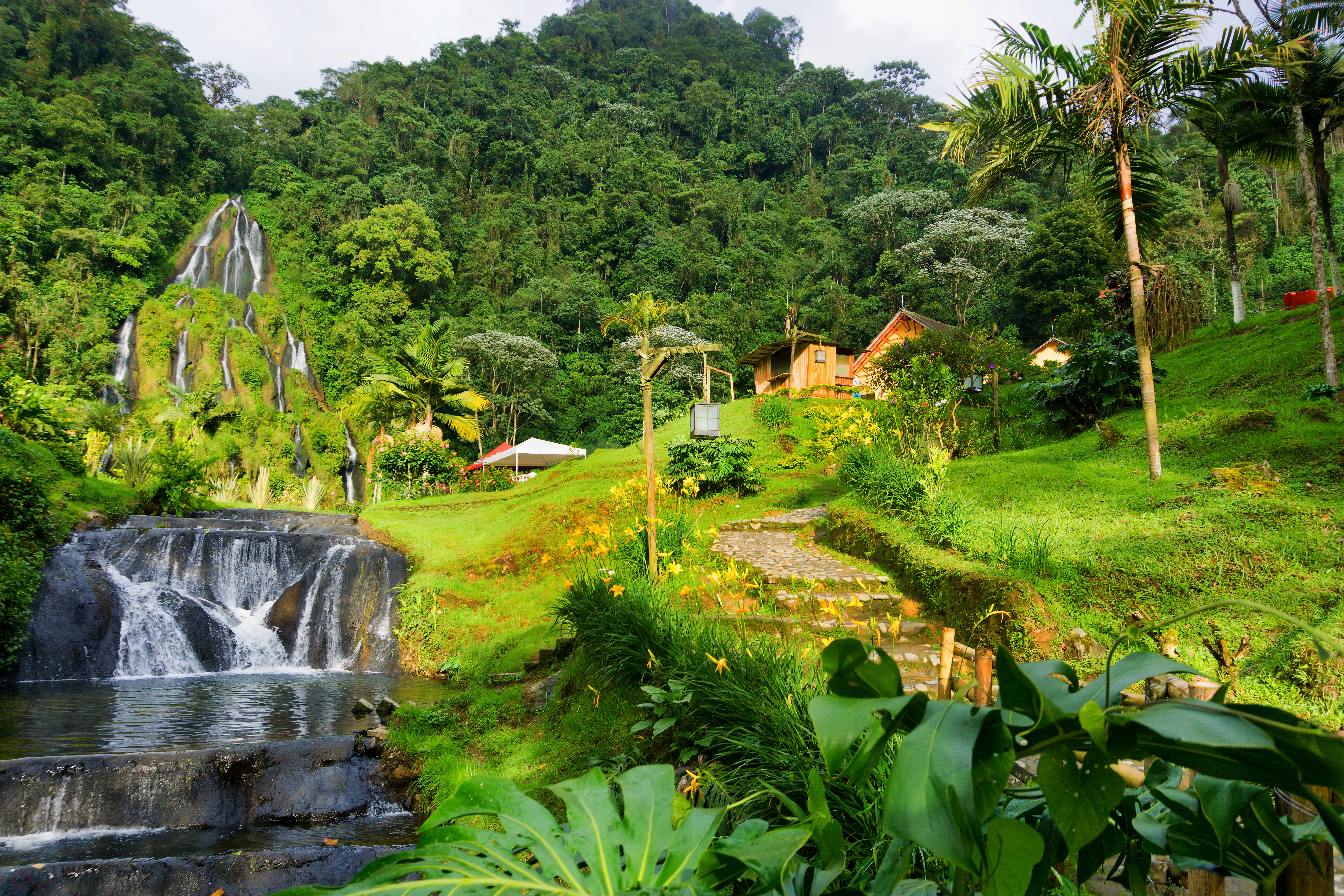 Coffee Region 18