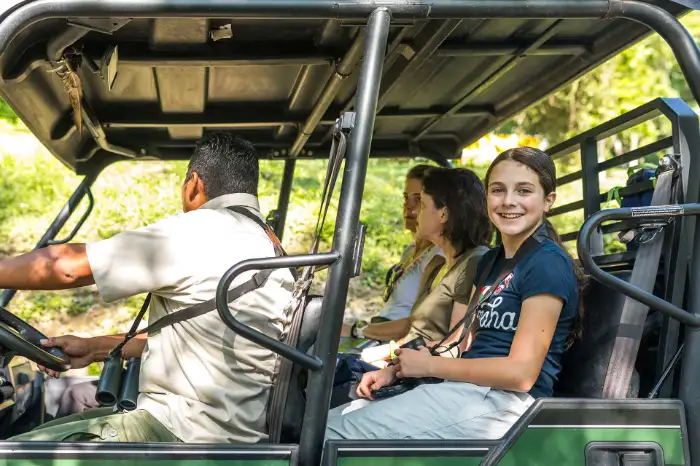 Brr Tours Rtv Safari