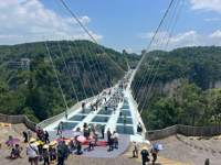 Glass Bridge Avatar