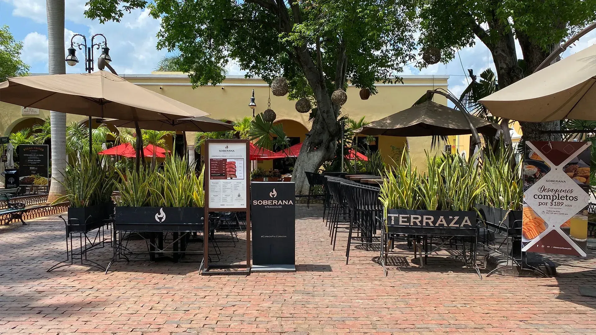 Terraza Soberana 1920W 8581482E 1920W