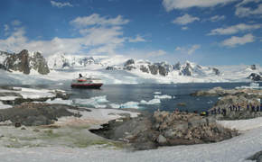 Expedition cruise lands in Antarctica amid glaciers, mountains, and wildlife. 