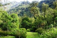 VALLE Y RIO BOSQUE DE PAZ