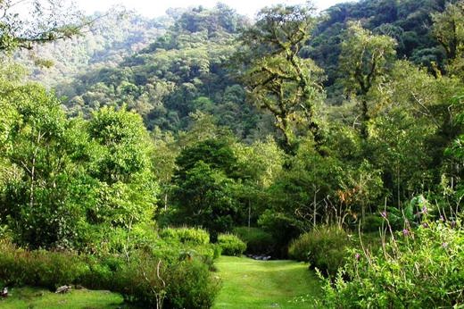 VALLE Y RIO BOSQUE DE PAZ