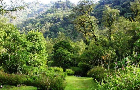 VALLE Y RIO BOSQUE DE PAZ