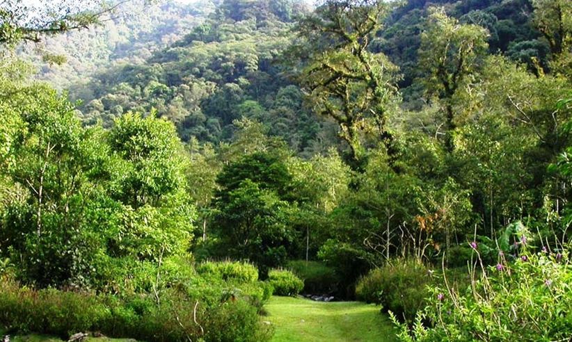 VALLE Y RIO BOSQUE DE PAZ