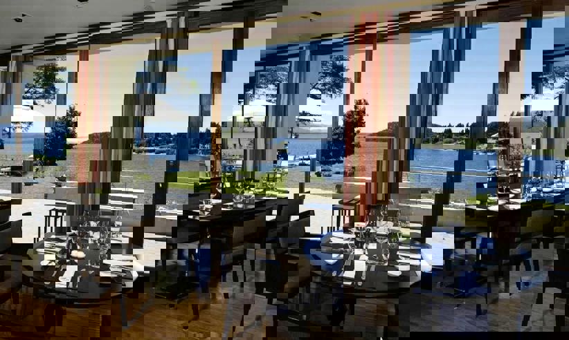 36593144