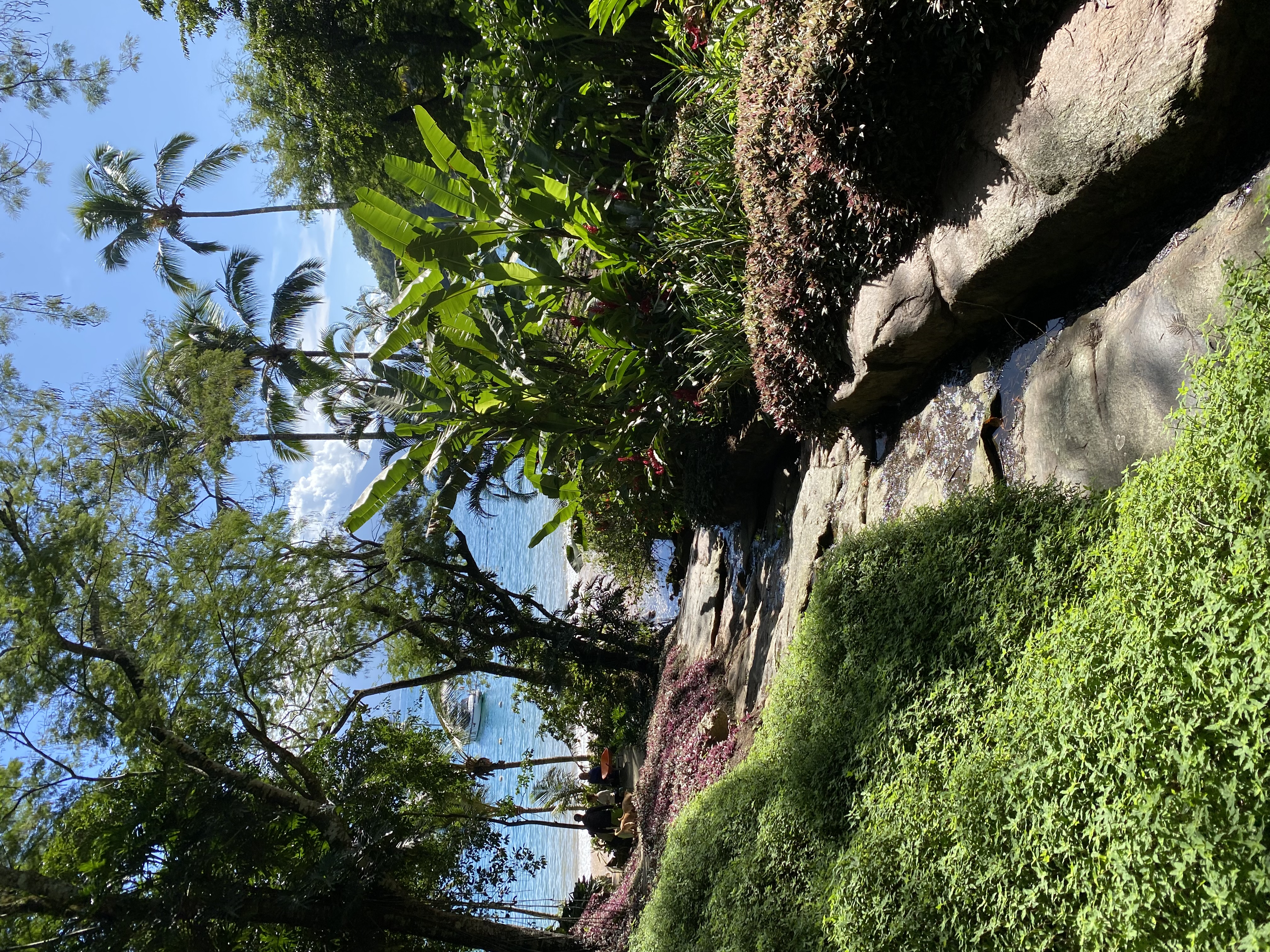 Image00017