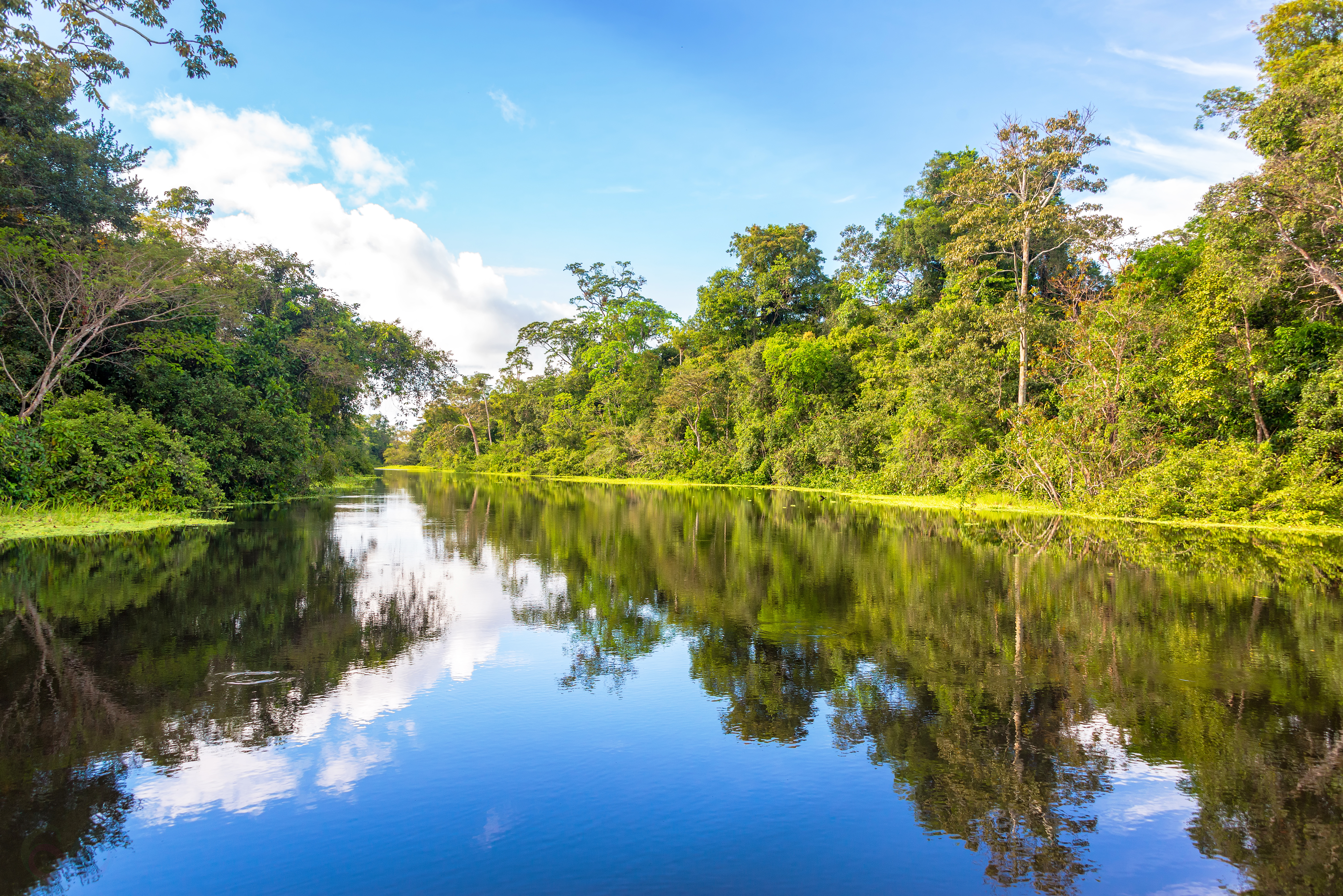 Amazonas 9
