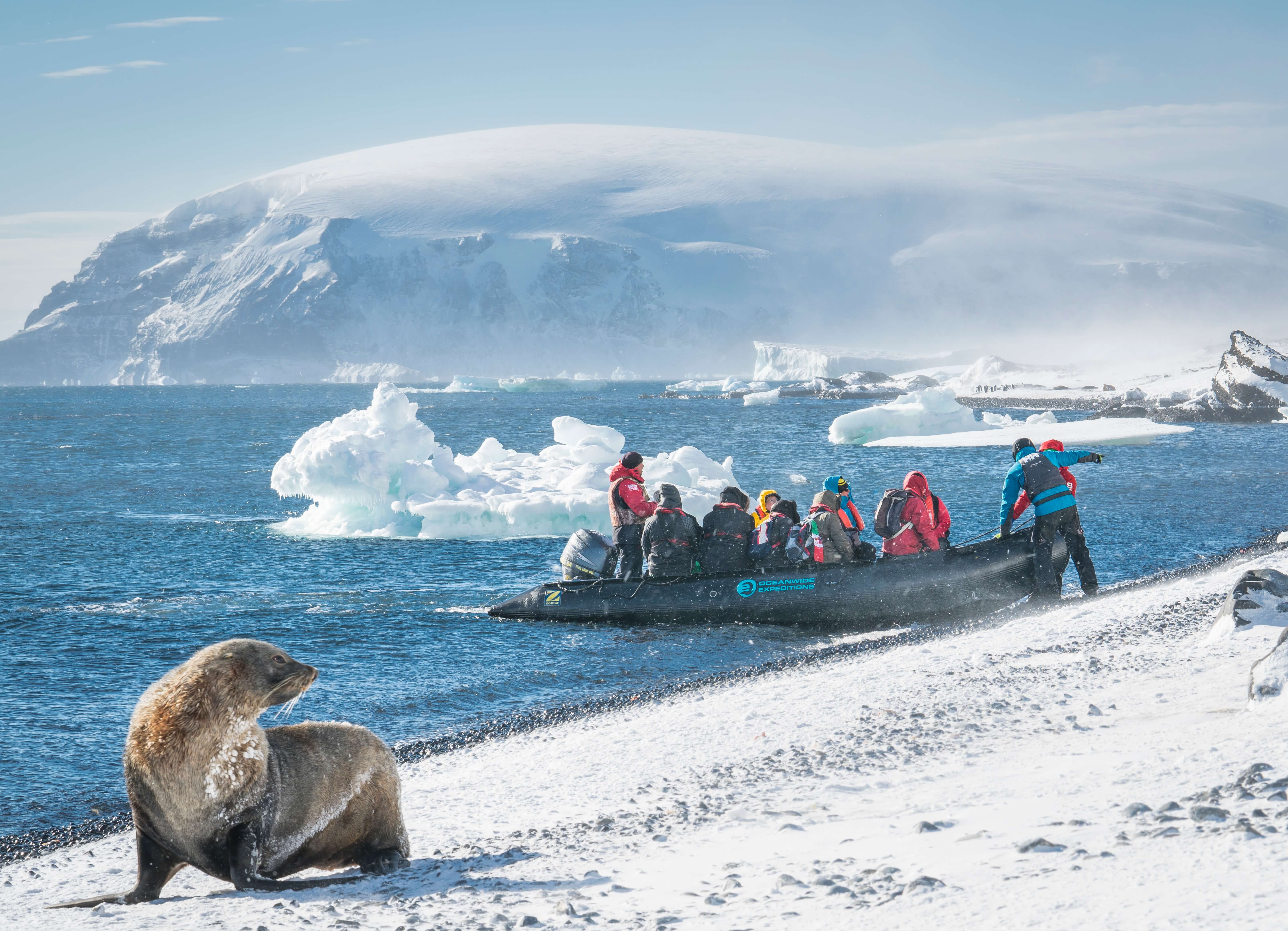 Zodiac Landing On Brown Bluff Welcomed By A Fur Seal Dietmar Denger Oceanwide Expeditionsjpg Dietmar Denger
