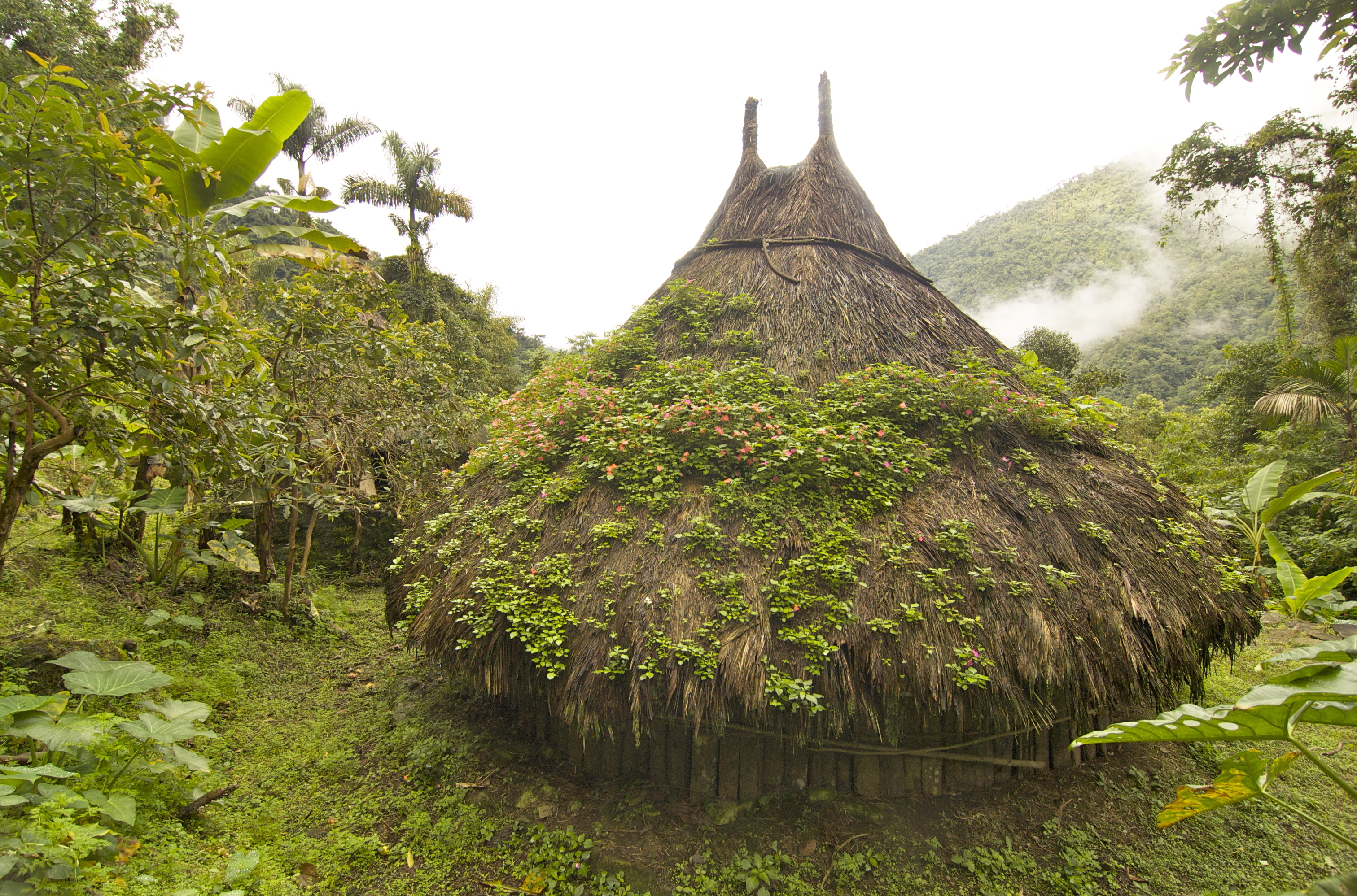 Lost City 5