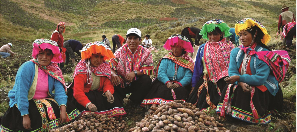 Cusco Community Of Paru Paru (2)