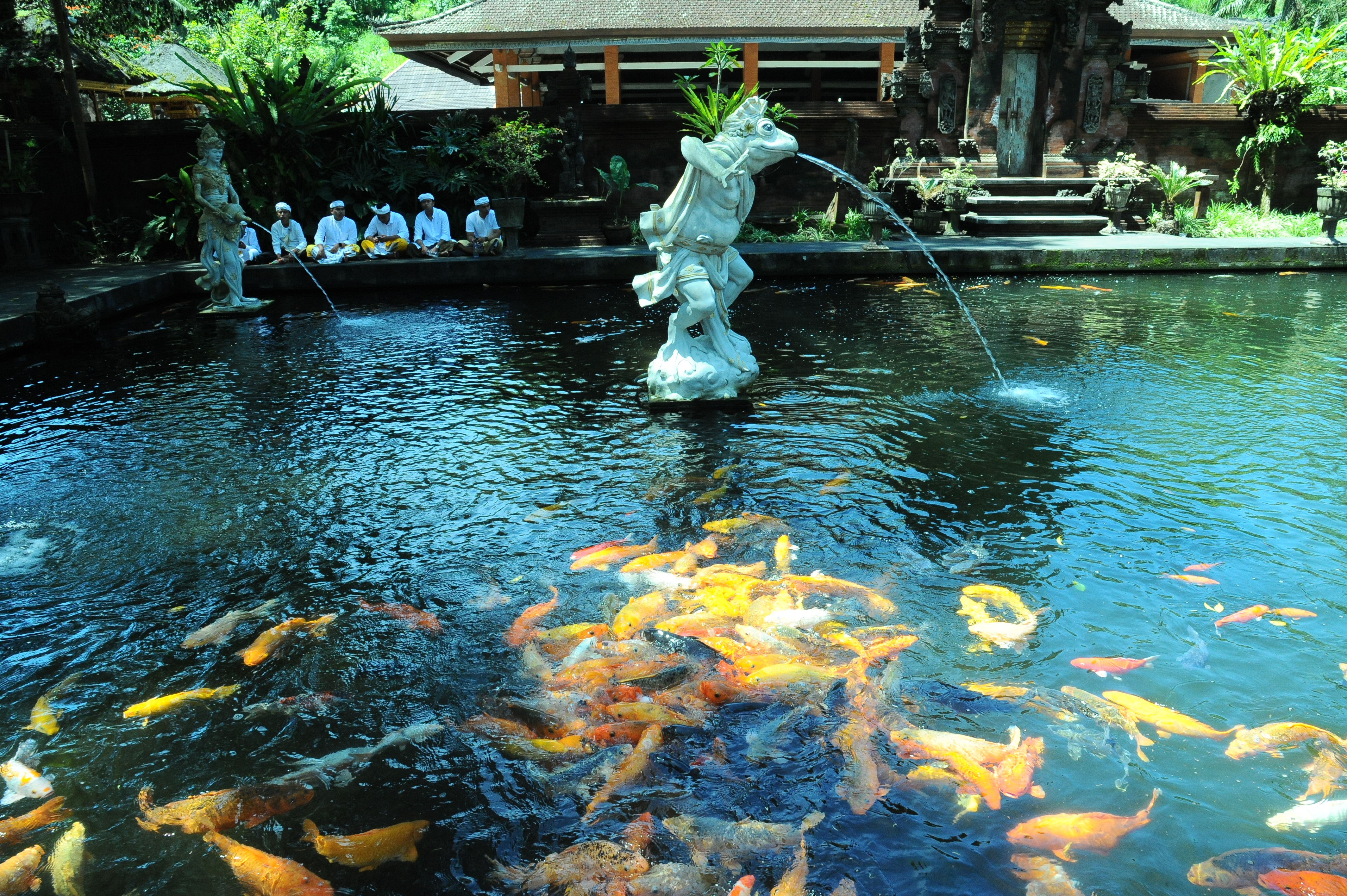 Colorful koi fish swim beneath stone fountains in a peaceful temple pond setting in Bali, Indonesia. 