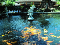 Sacred Water at a Temple in Bali