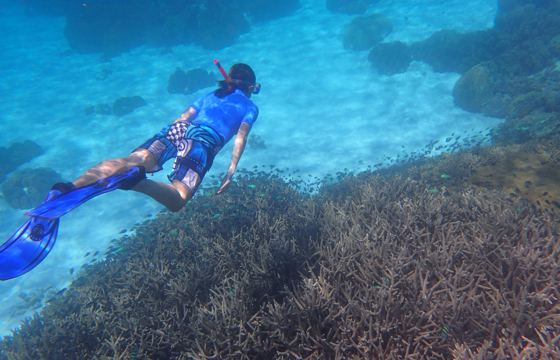 15 Underwater Jennifer Hayes