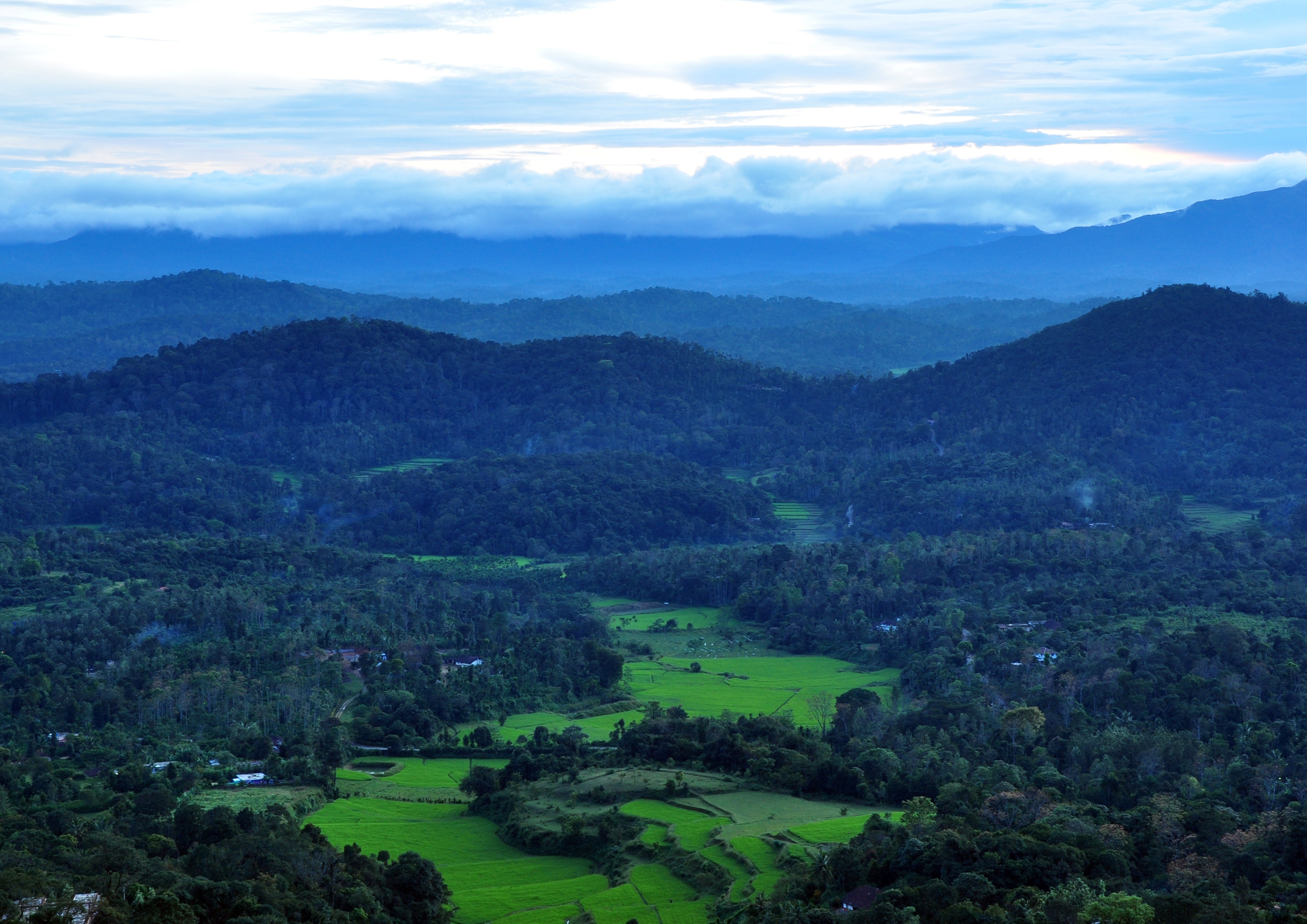 Coorg