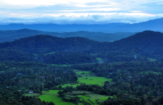 Coorg