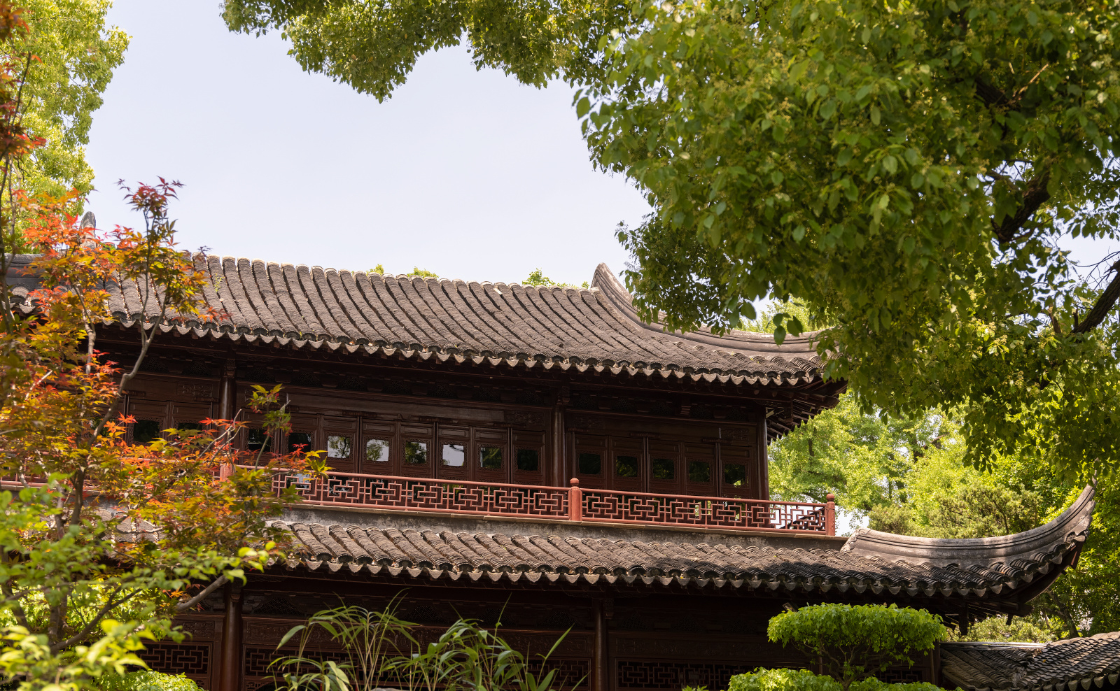 Amanyangyun China 19