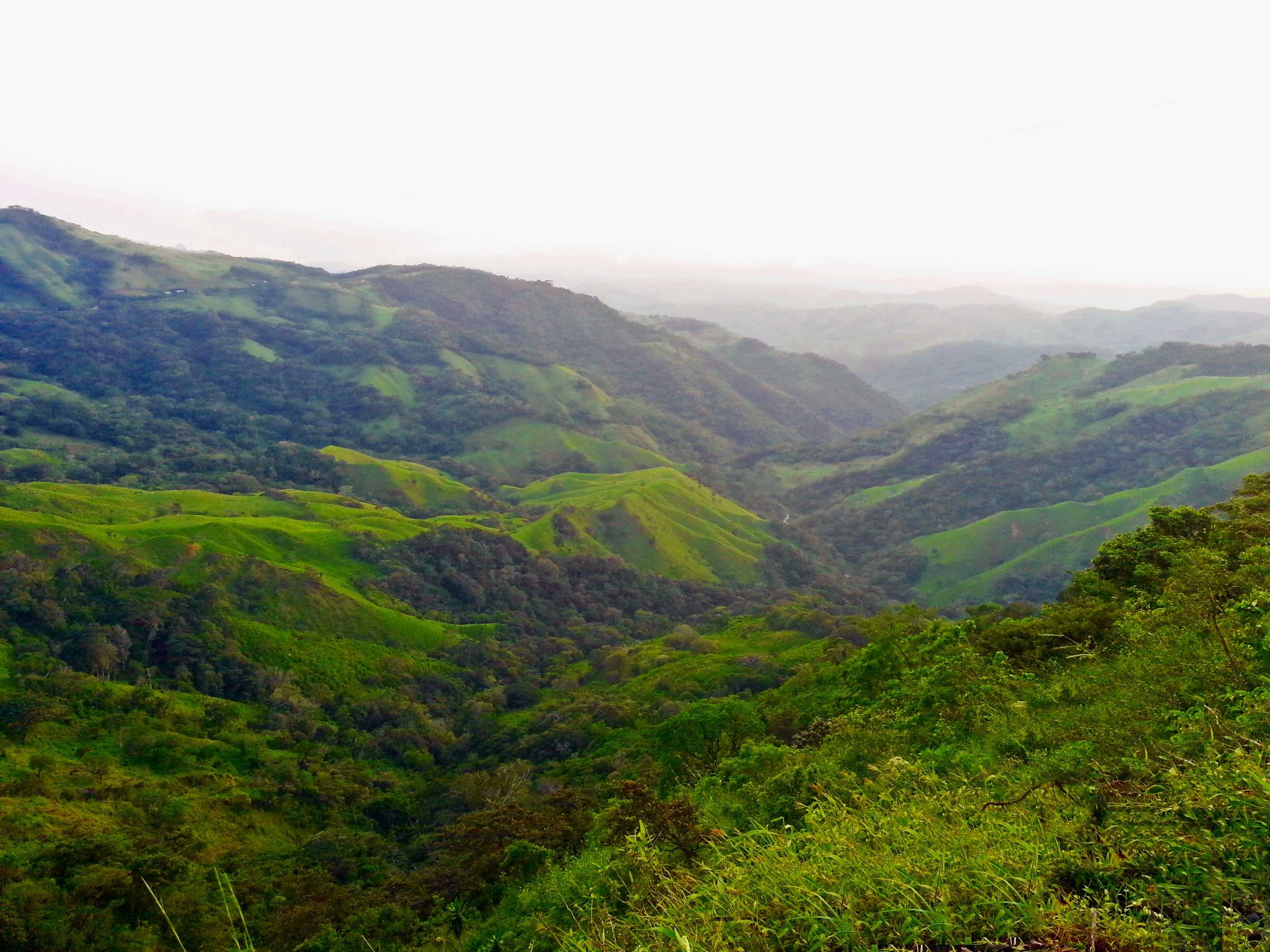 Monteverde 05
