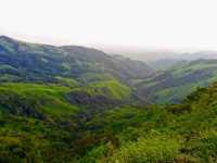 Monteverde 05