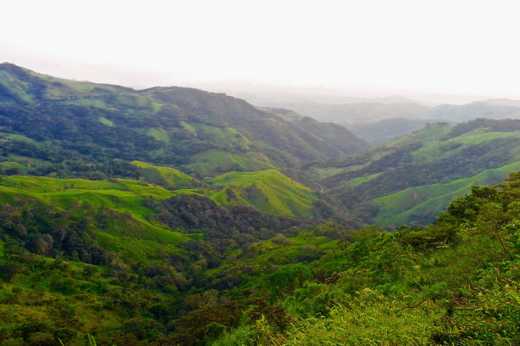 Monteverde 05