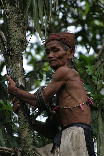 Borneo Eco Tour Gallery 18