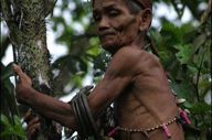 Borneo Eco Tour Gallery 18