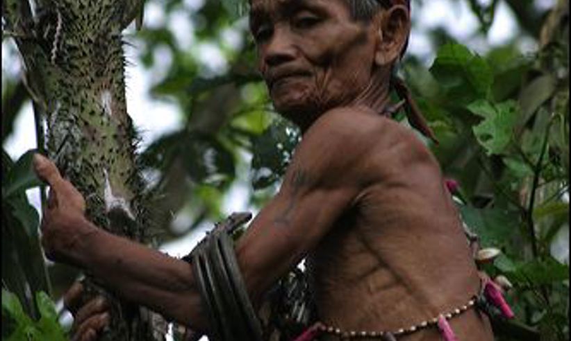 Borneo Eco Tour Gallery 18