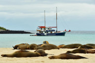 Samaba Photo Gallery 08