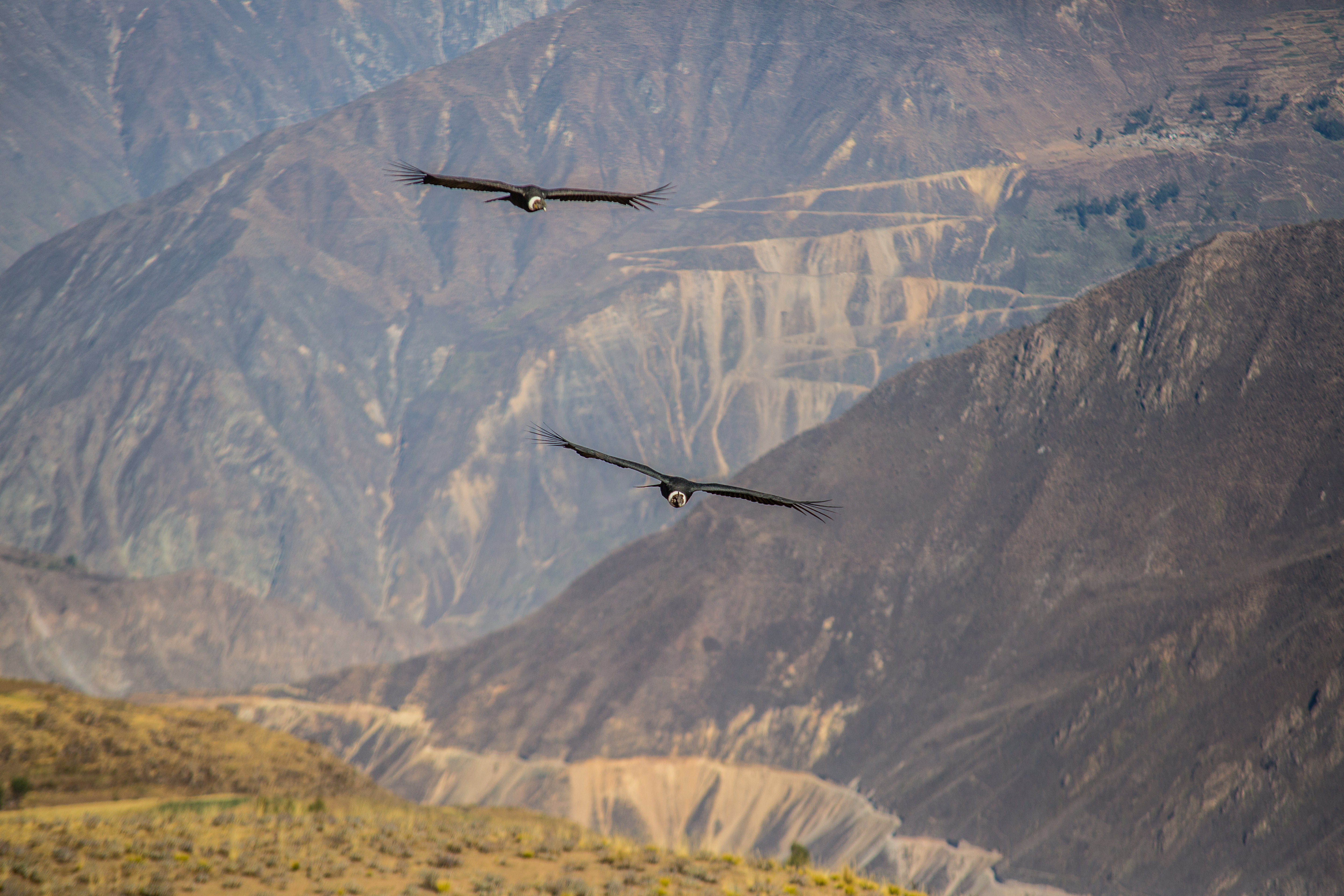 Arequipa Colca Valley (17)