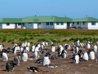 2754 Sea Lion Island