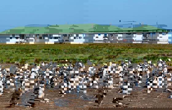 2754 Sea Lion Island