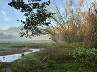 PHOTO 2025 12 24 13 50 54