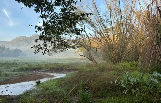 PHOTO 2025 12 24 13 50 54