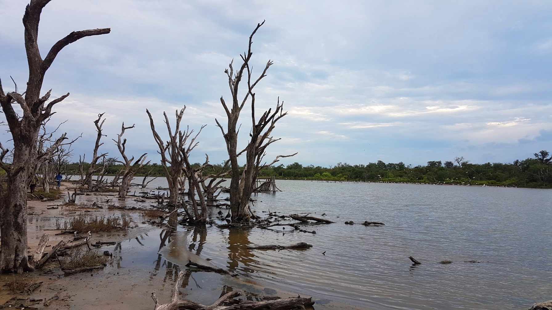 Laguna Capitán Chaco