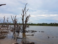 Laguna Capitán Chaco