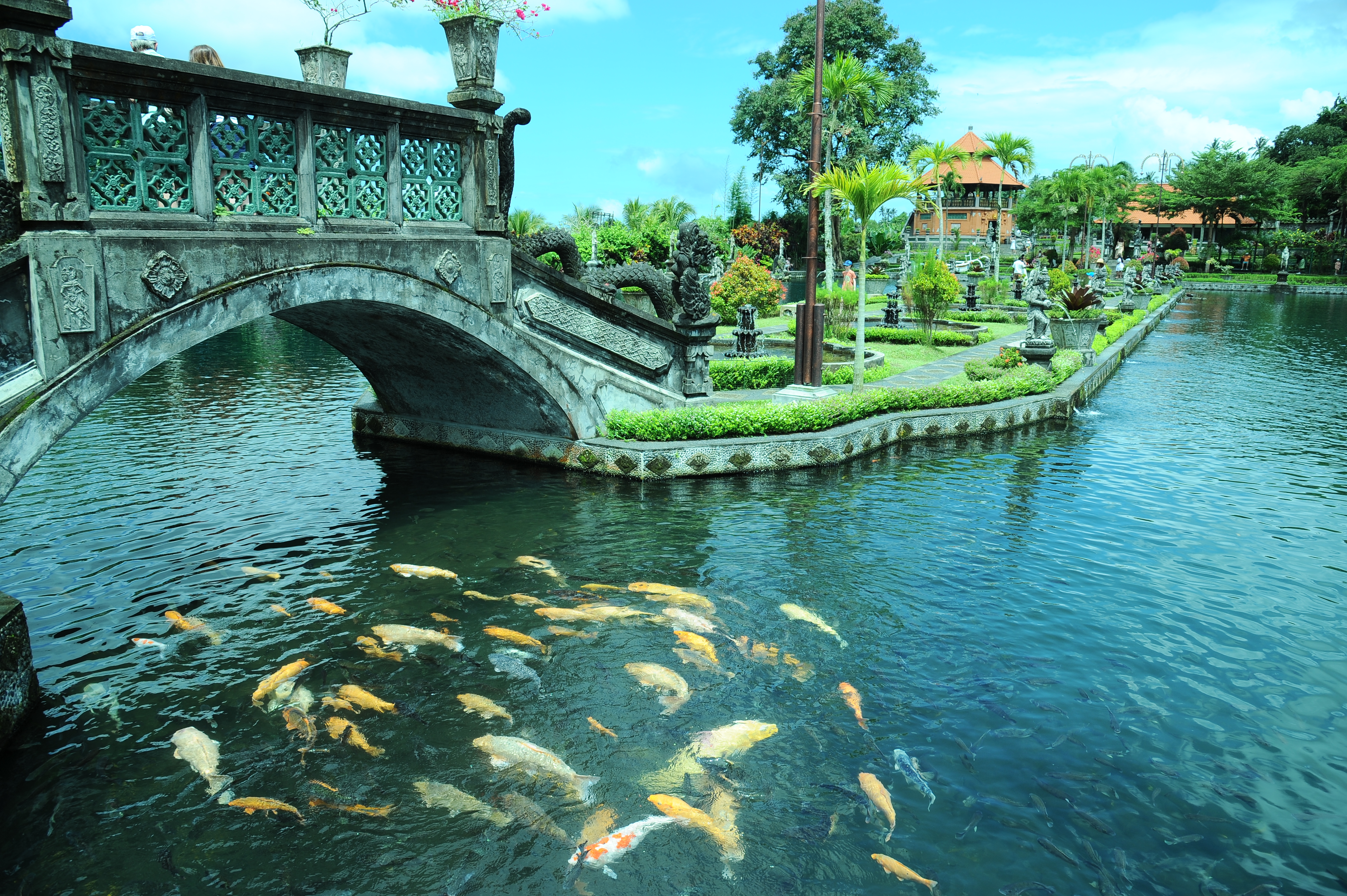 Koi swim beneath a stone bridge at Tirta Gangga Water Palace, surrounded by fountains and lush gardens in East Bali, Indonesia. 