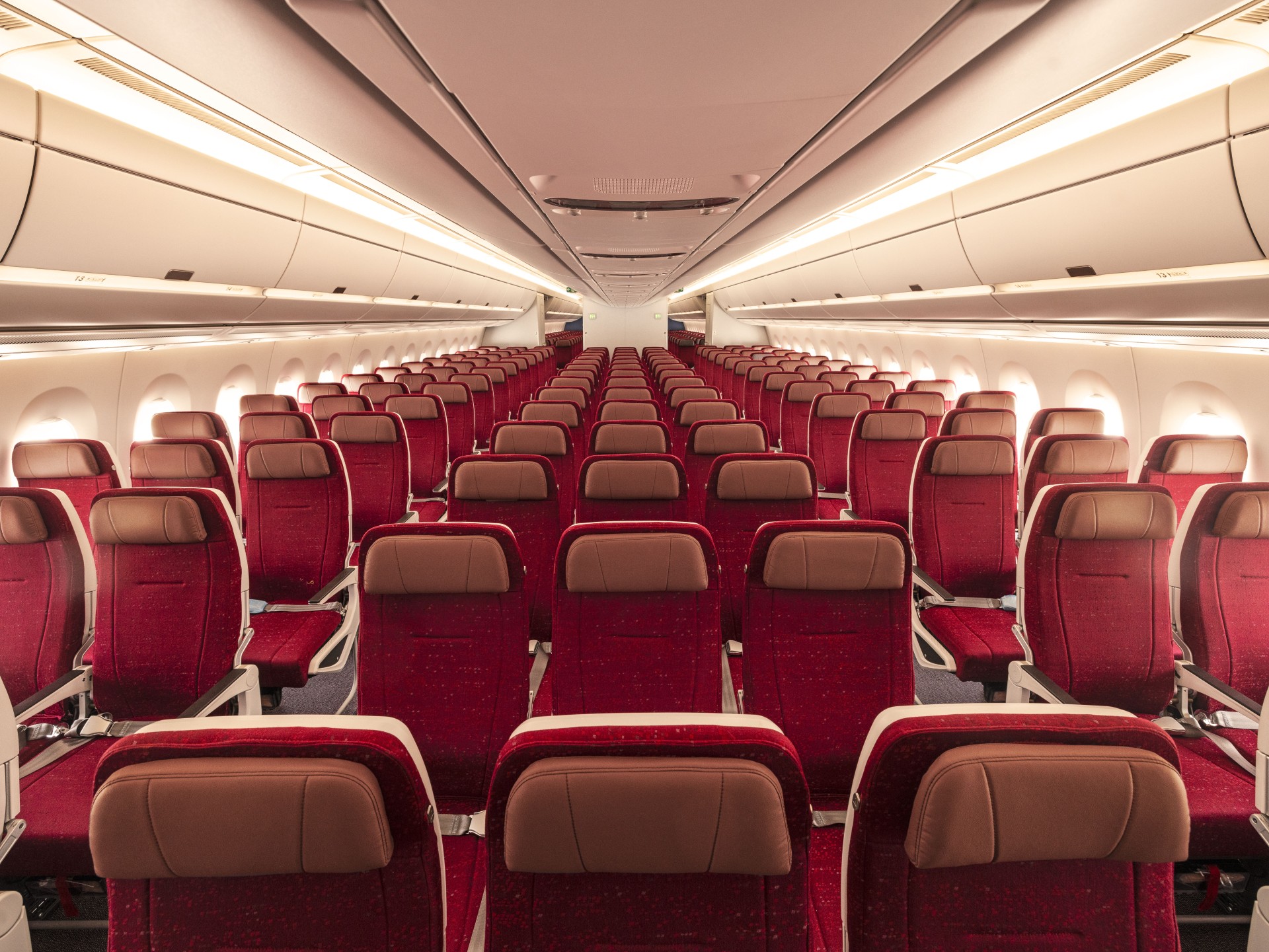 Air India A350 Economy Class (1)