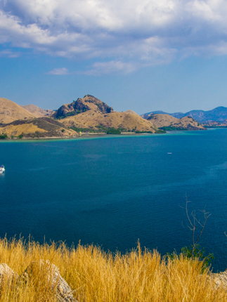 5 Komodo Park