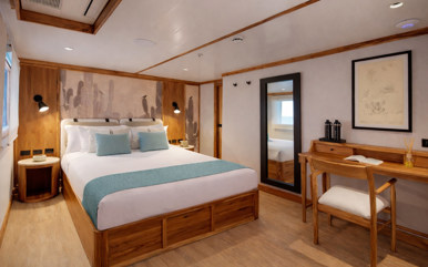Evolution Double Suite