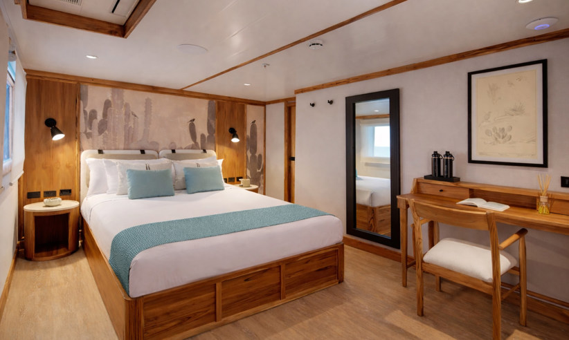 Evolution Double Suite