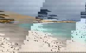 Carcass Island 2