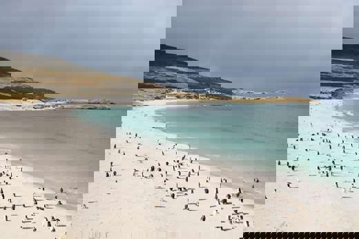 Carcass Island 2