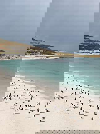 Carcass Island 2