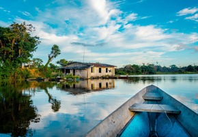 Amazonie 