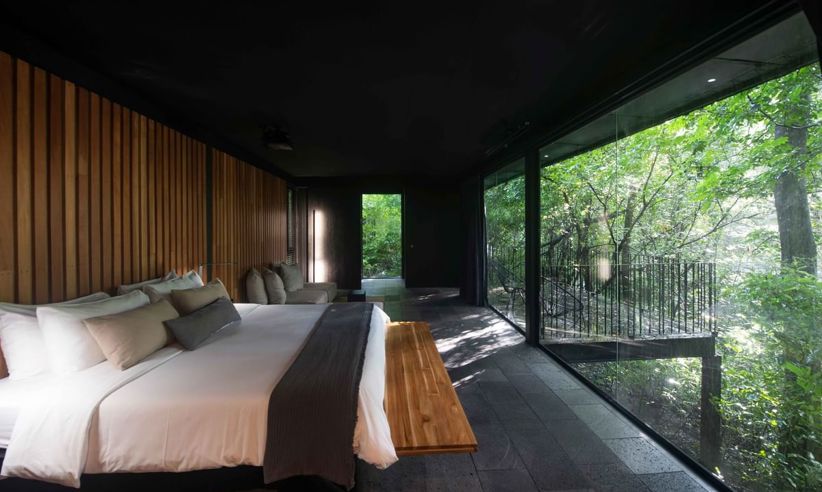 Dsc6914
