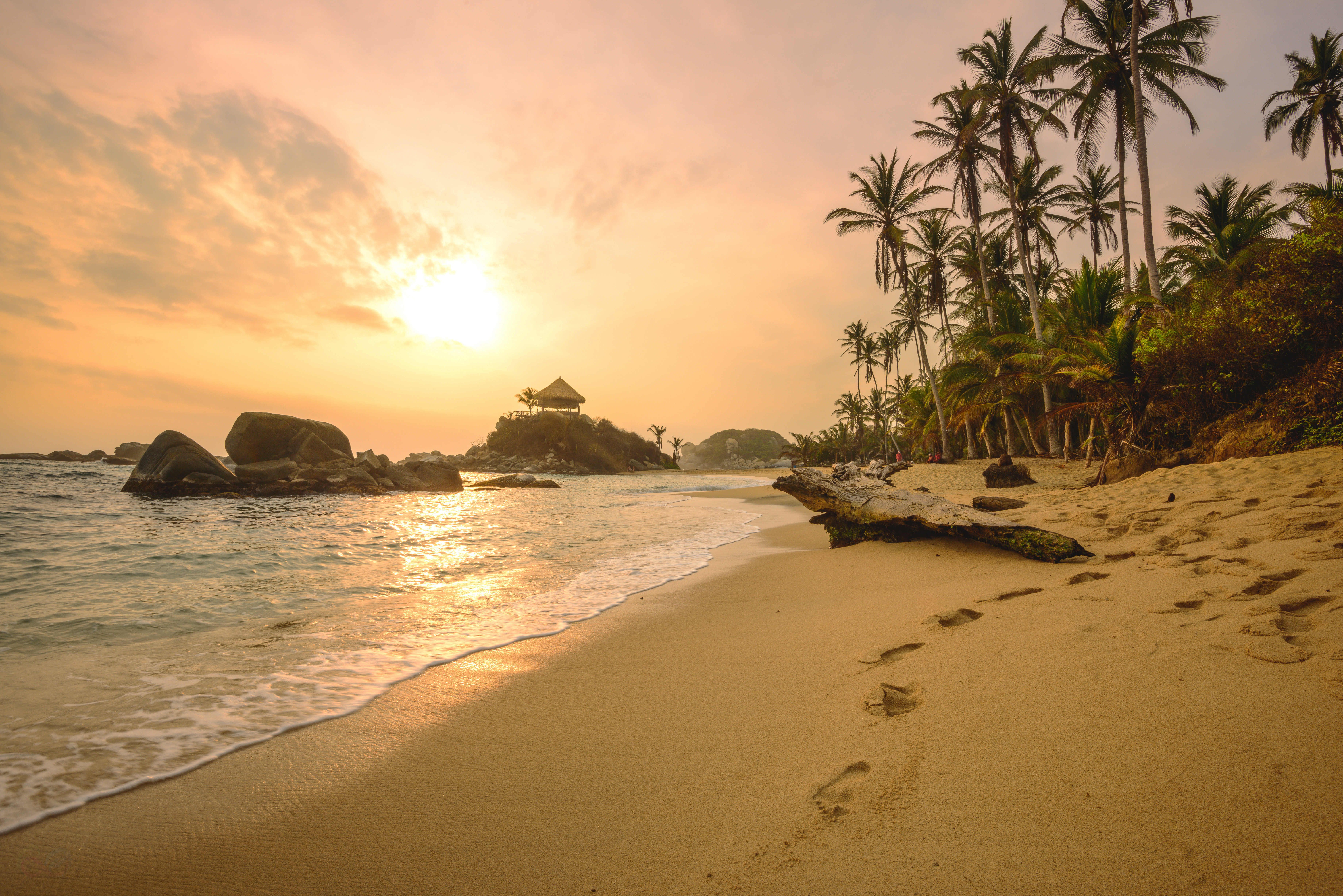 Tayrona NNP 6